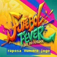 raposa numero jogo do bicho